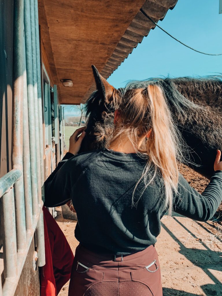 Mirelle van Bart Dierfysiotherapie in Nieuwegein, Ijsselstein en Utrecht - Professionele fysiotherapie voor uw paard voor herstel
