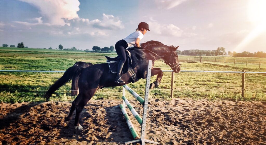 Mirelle van Bart Dierfysiotherapie in Nieuwegein, Ijsselstein en Utrecht - Professionele fysiotherapie voor uw paard voor herstel
