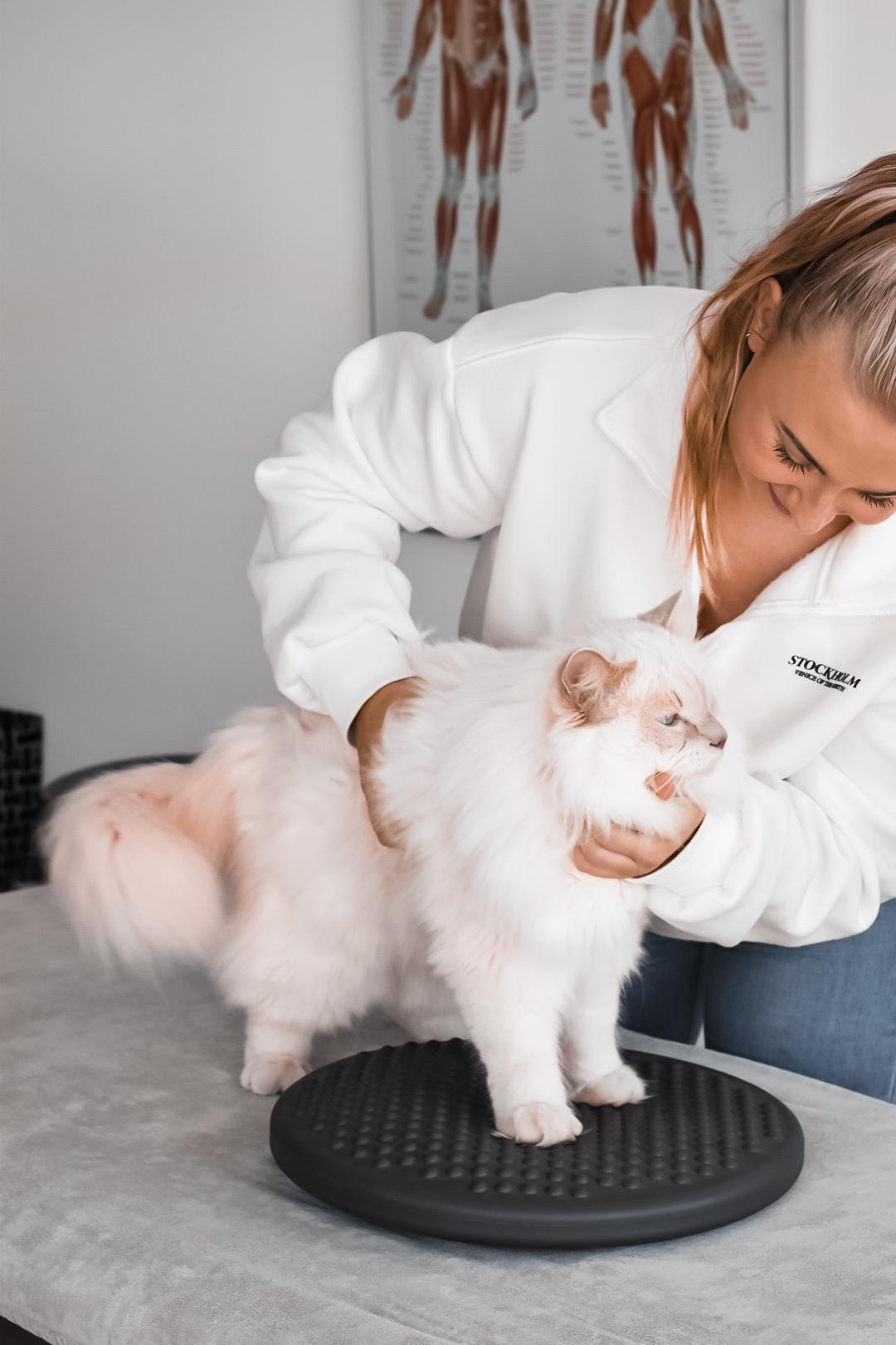 Mirelle van Bart Dierfysiotherapie in Nieuwegein, Ijsselstein en Utrecht - Professionele fysiotherapie voor uw kat