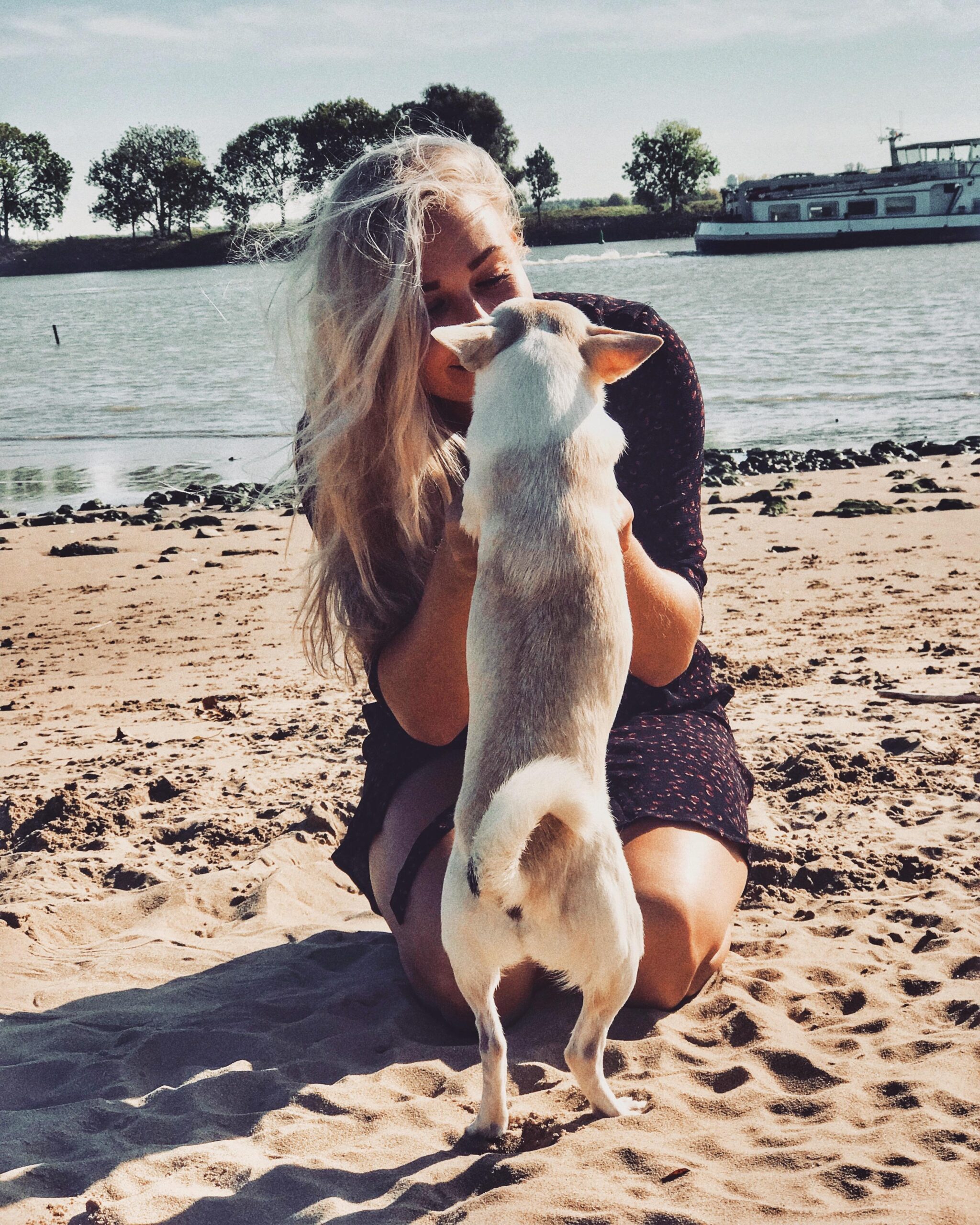 Mirelle van Bart Dierfysiotherapie in Nieuwegein, Ijsselstein en Utrecht - Professionele fysiotherapie voor uw huisdier voor herstel