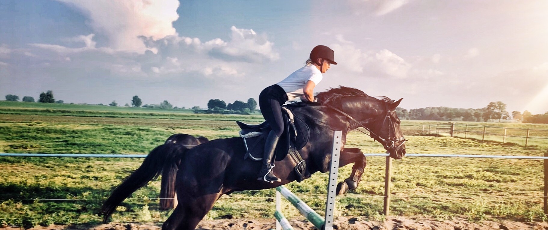 Mirelle van Bart Dierfysiotherapie in Nieuwegein, Ijsselstein en Utrecht - Professionele fysiotherapie voor uw huisdier voor herstel
