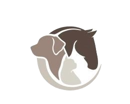 Mirelle van Bart Dierfysiotherapie